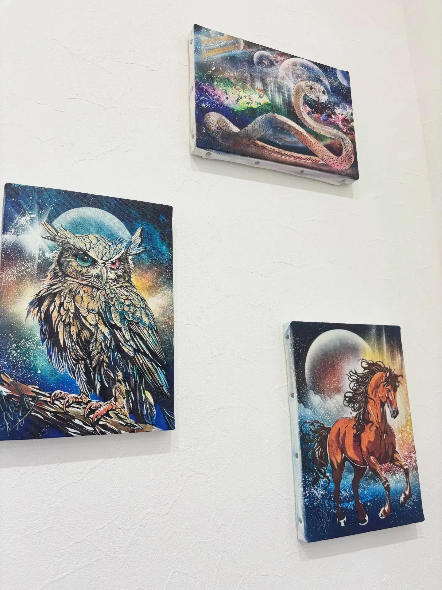 🥕お迎えしました🥕